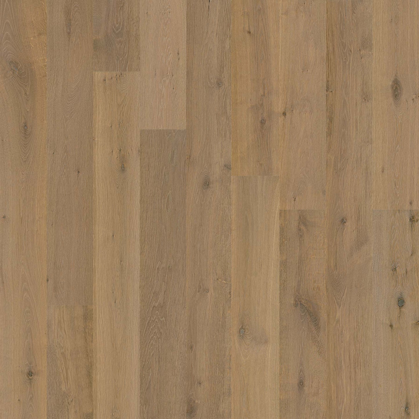 Recycled Leather Flooring Panels - Cool Brown French Oak