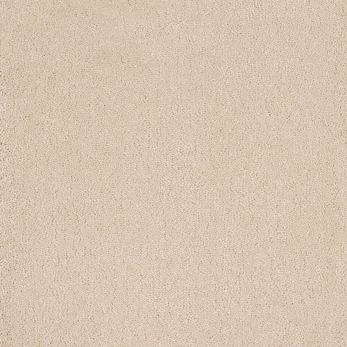 Taurus 14.5mm Polypropylene Carpet - Flint 03