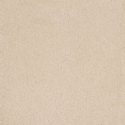 Taurus 14.5mm Polypropylene Carpet - Flint 03
