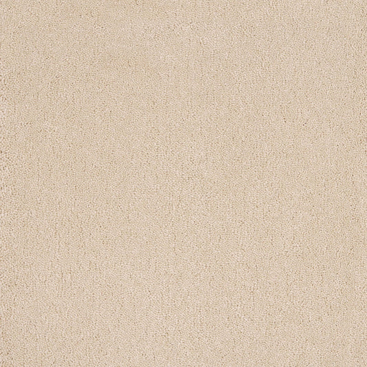 Taurus 14.5mm Polypropylene Carpet - Flint 03