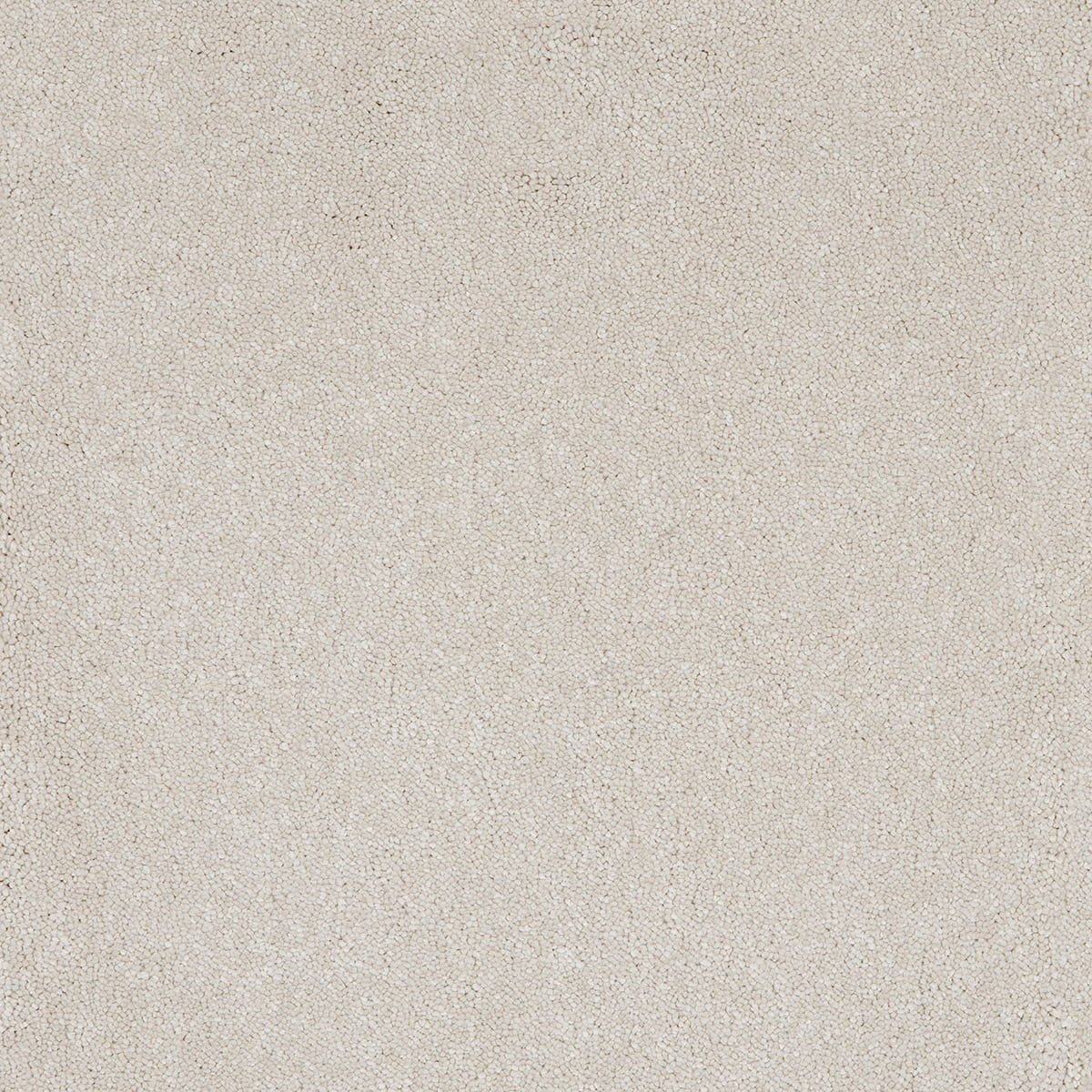 Taurus 14.5mm Polypropylene Carpet - Cotton 09