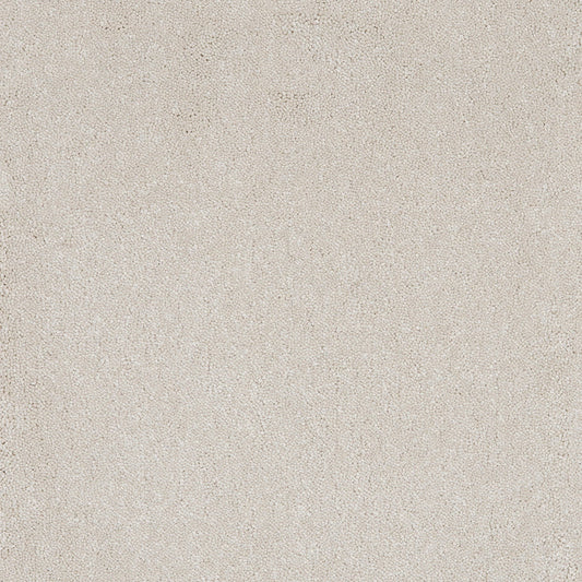 Taurus 14.5mm Polypropylene Carpet - Cotton 09