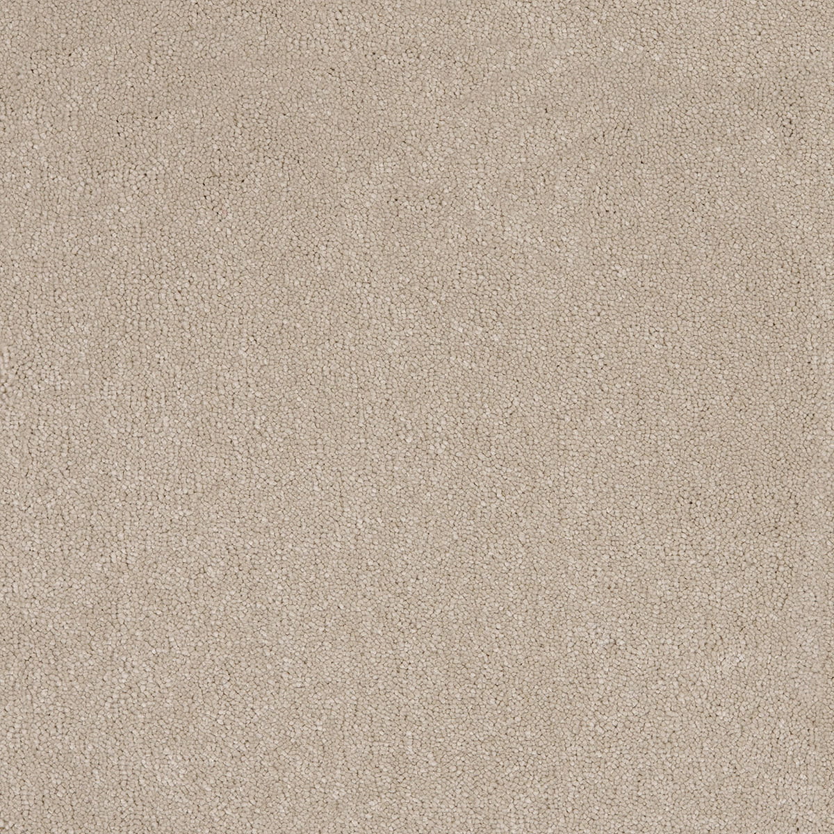 Taurus 14.5mm Polypropylene Carpet - Hammock 33