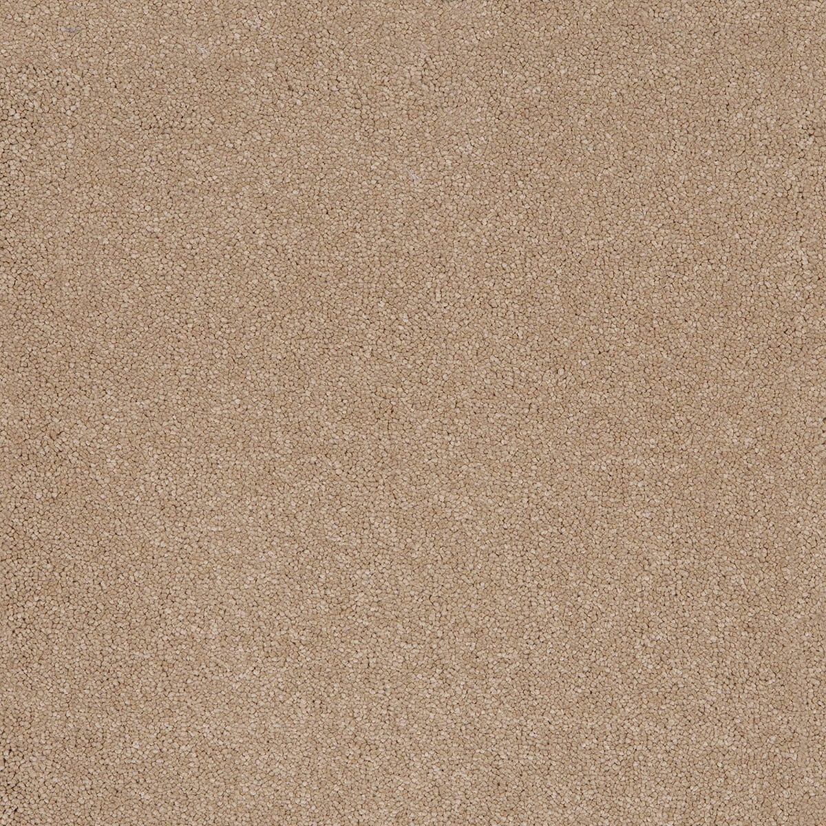 Taurus 14.5mm Polypropylene Carpet - Sandstone 37