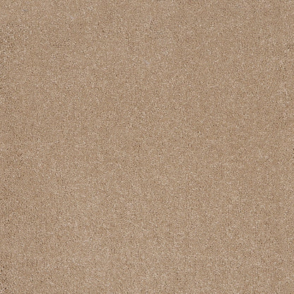 Taurus 14.5mm Polypropylene Carpet - Sandstone 37