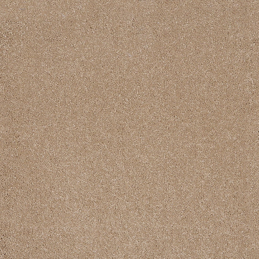 Taurus 14.5mm Polypropylene Carpet - Sandstone 37