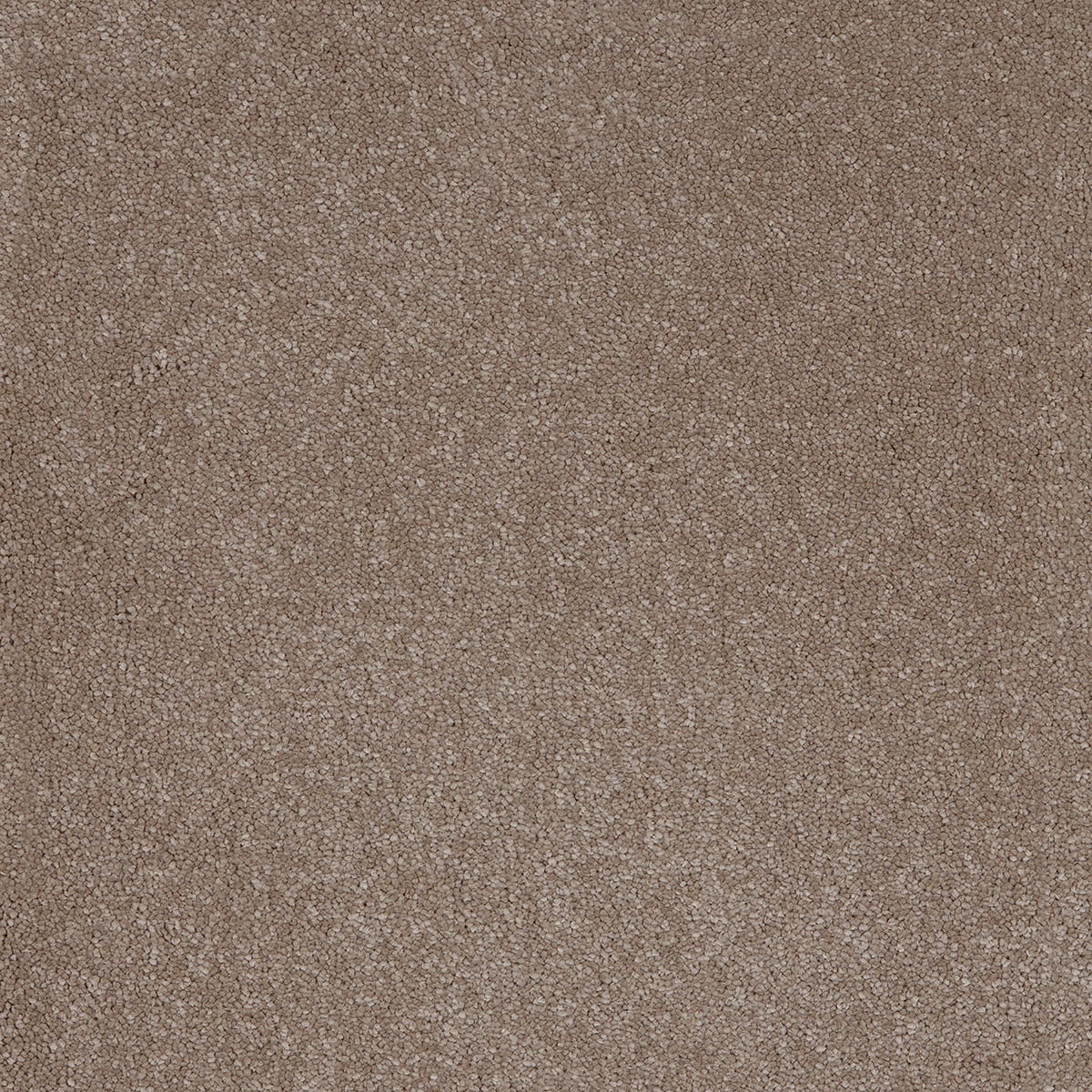 Taurus 14.5mm Polypropylene Carpet - Fudge 39