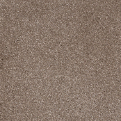 Taurus 14.5mm Polypropylene Carpet - Fudge 39