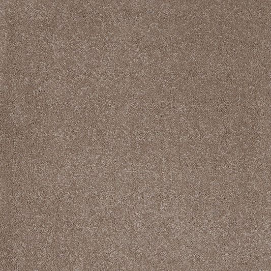 Taurus 14.5mm Polypropylene Carpet - Fudge 39