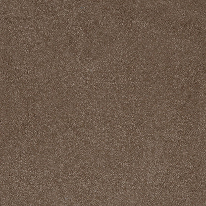 Taurus 14.5mm Polypropylene Carpet - Moleskin 40
