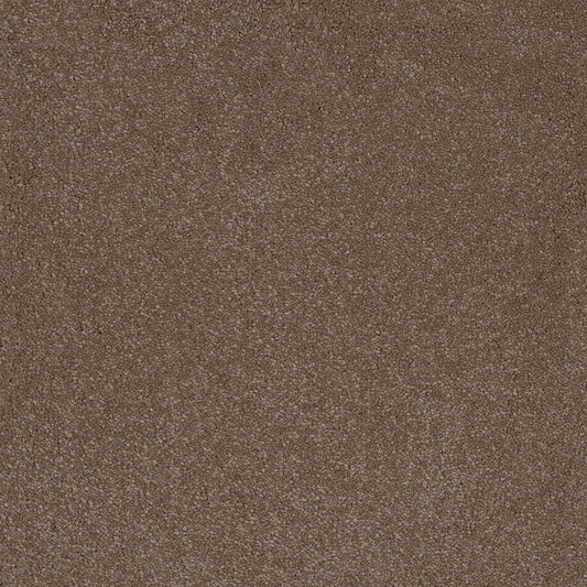 Taurus 14.5mm Polypropylene Carpet - Moleskin 40