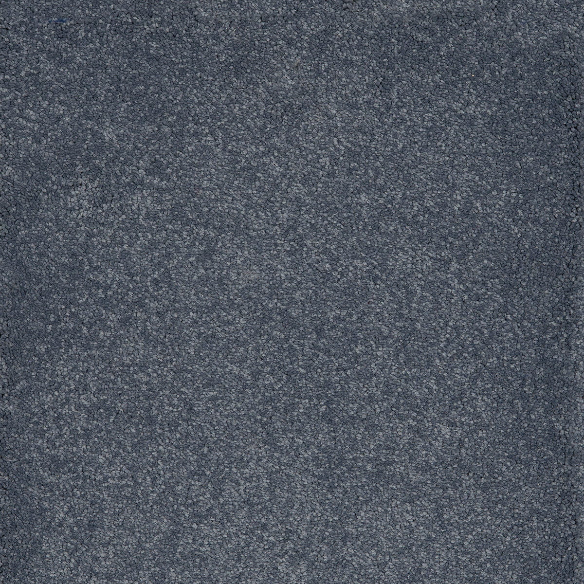 Taurus 14.5mm Polypropylene Carpet - Wedgewood 79