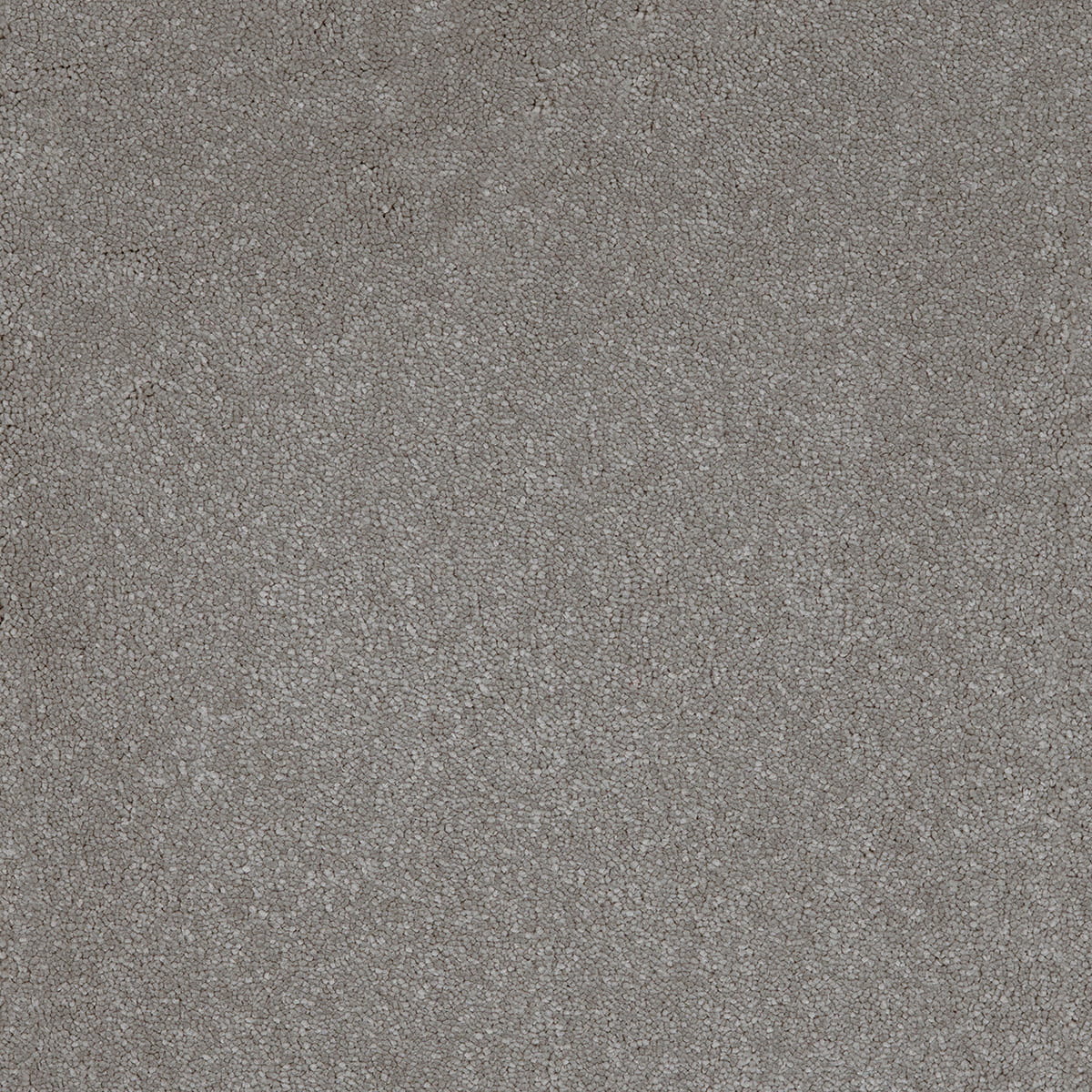 Taurus 14.5mm Polypropylene Carpet - Steel 95