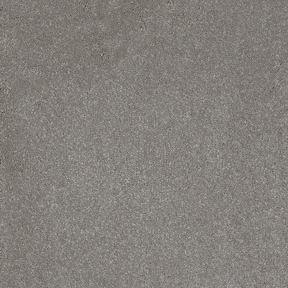 Taurus 14.5mm Polypropylene Carpet - Steel 95