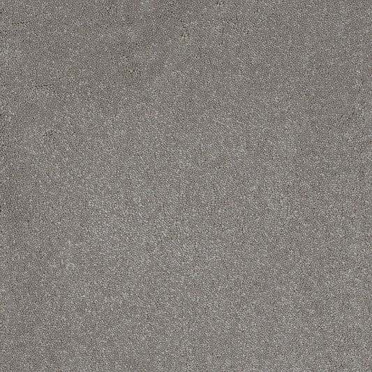 Taurus 14.5mm Polypropylene Carpet - Steel 95