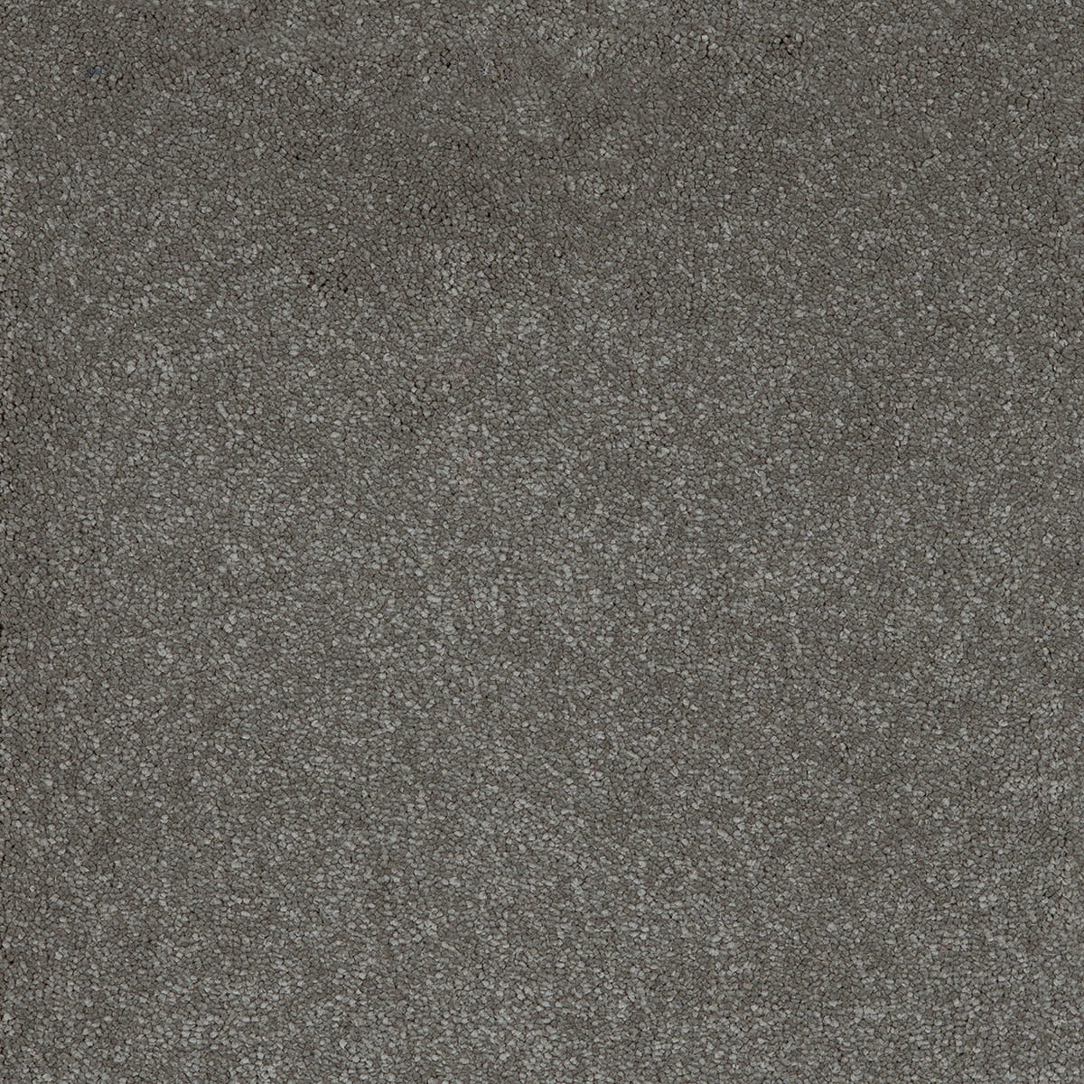 Taurus 14.5mm Polypropylene Carpet - Fog 96