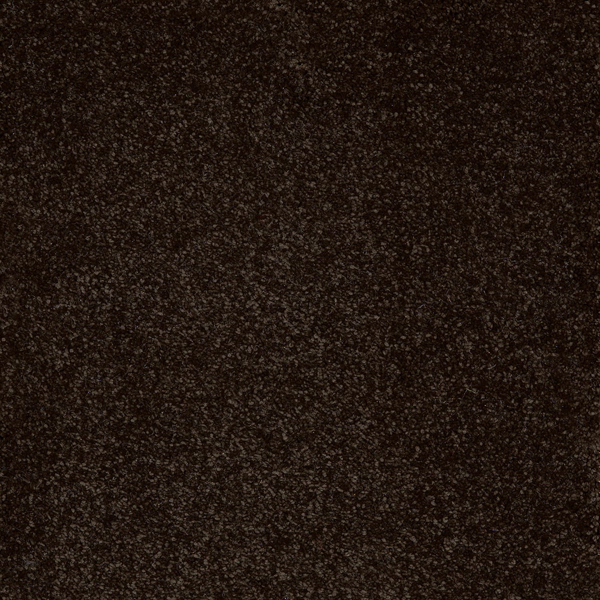 Taurus 14.5mm Polypropylene Carpet - Jack Black 99