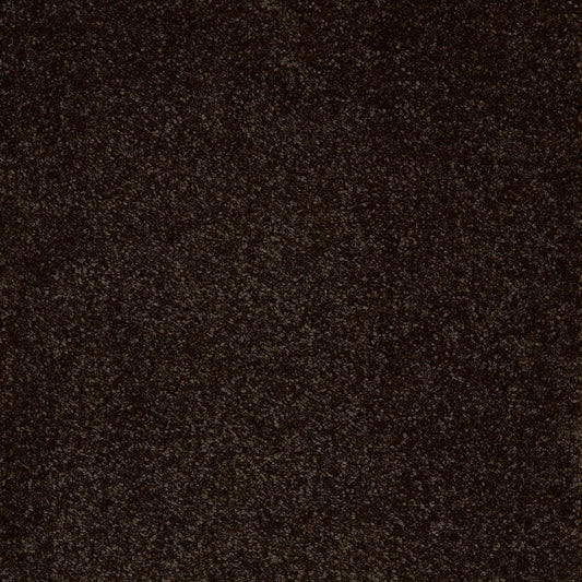 Taurus 14.5mm Polypropylene Carpet - Jack Black 99