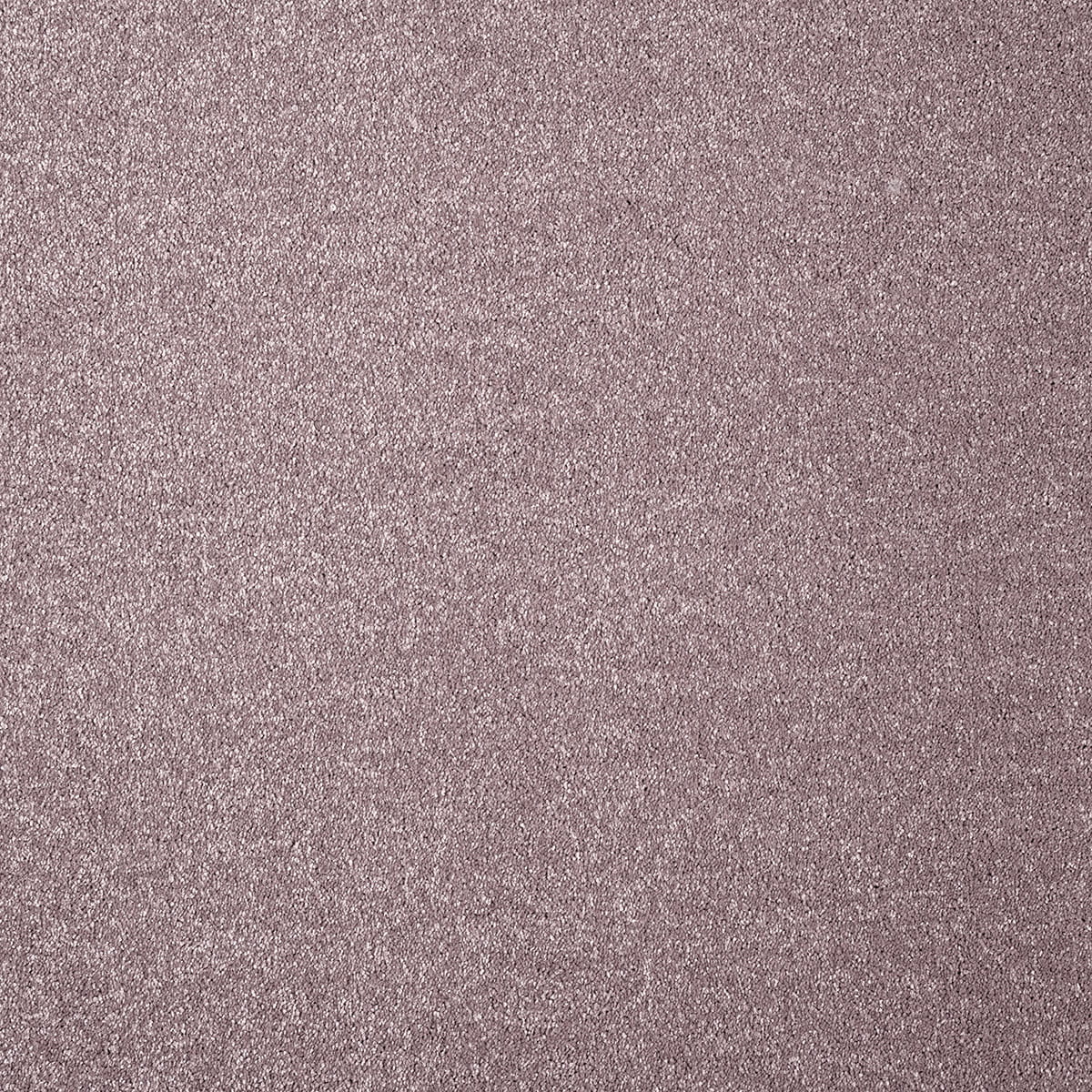 Varuna 9mm Regenerated Nylon Carpet - 17