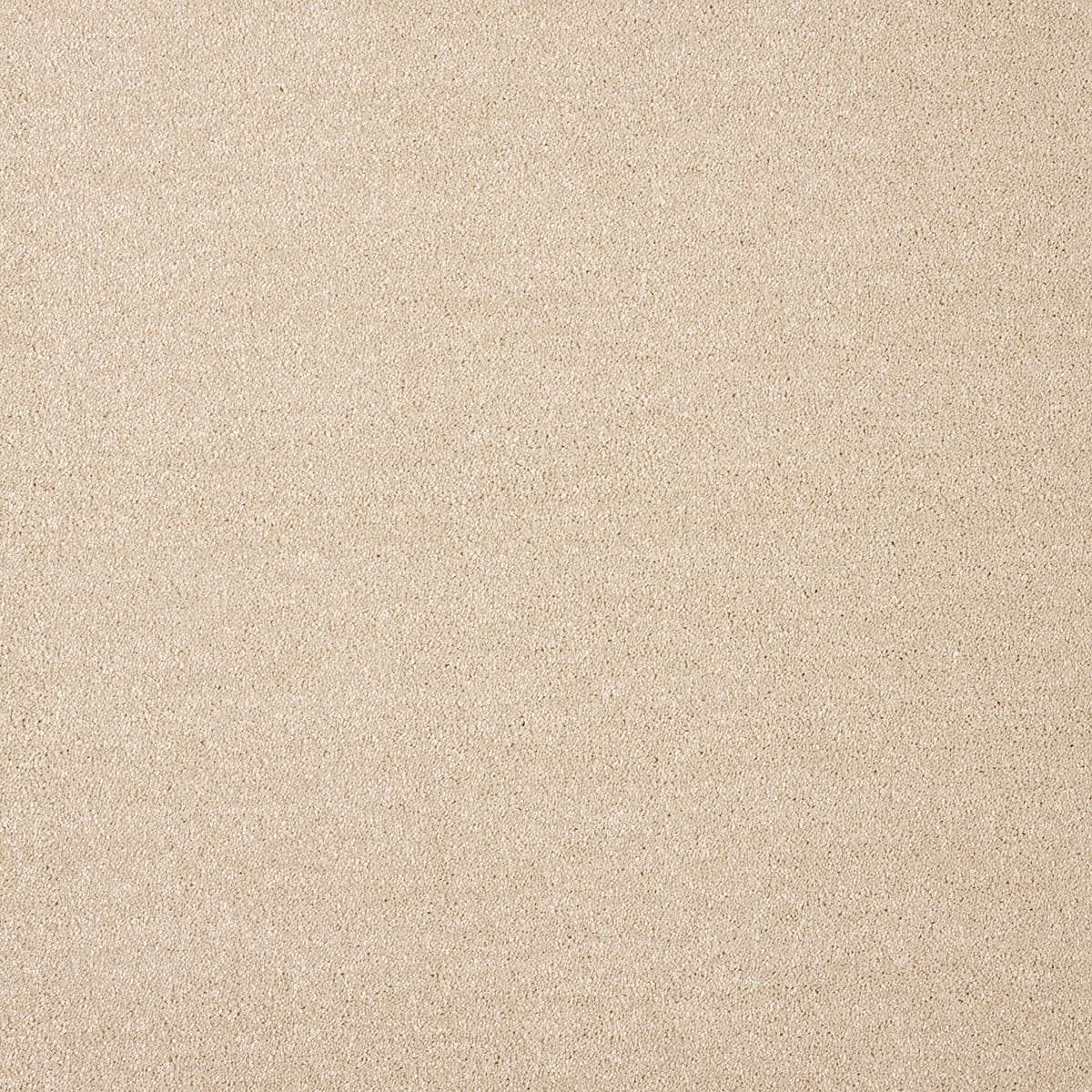 Varuna 9mm Regenerated Nylon Carpet - 35
