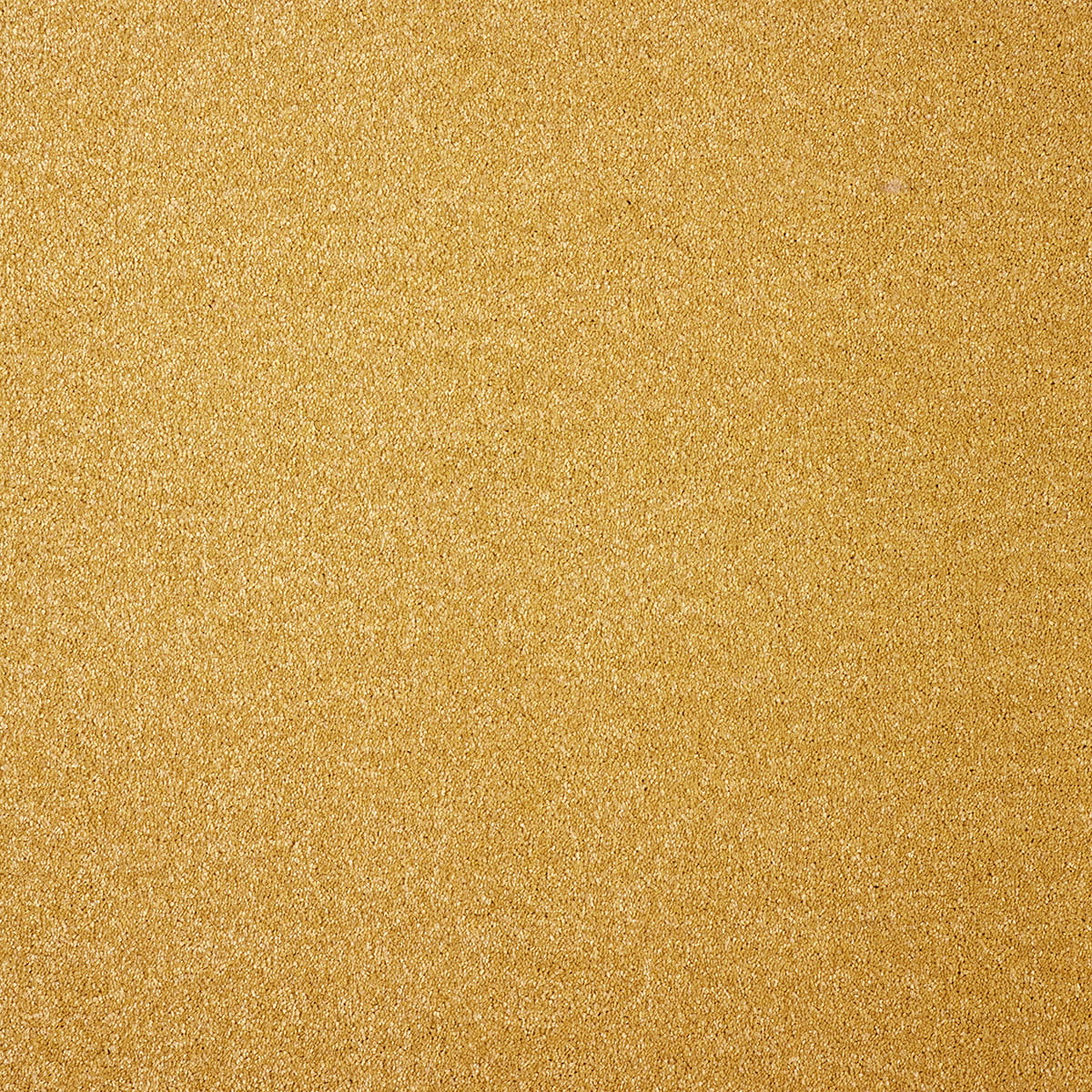 Varuna 9mm Regenerated Nylon Carpet - 55