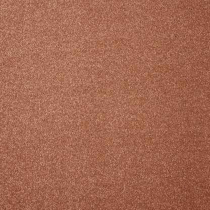 Varuna 9mm Regenerated Nylon Carpet - 84