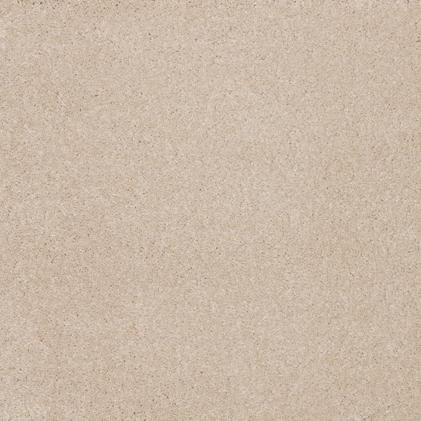 Dreamy Delight 19.5mm Deep Pile Saxony Carpet - Alhambra 920