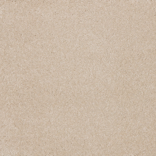 Dreamy Delight 19.5mm Deep Pile Saxony Carpet - Alhambra 920