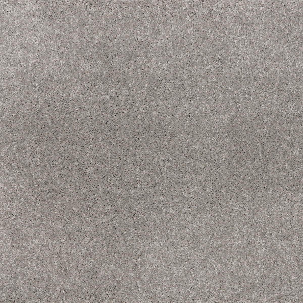 Dreamy Delight 19.5mm Deep Pile Saxony Carpet - Artic 975