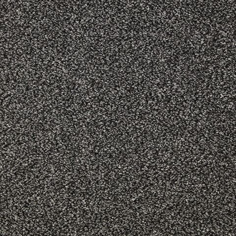 Primo Grande 11.4mm Polypropylene Carpet - Raven