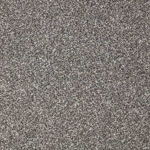 Primo Grande 11.4mm Polypropylene Carpet - Shadow