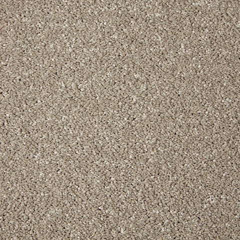Primo Grande 11.4mm Polypropylene Carpet - Rushmoor