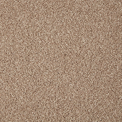 Primo Grande 11.4mm Polypropylene Carpet - Curlew