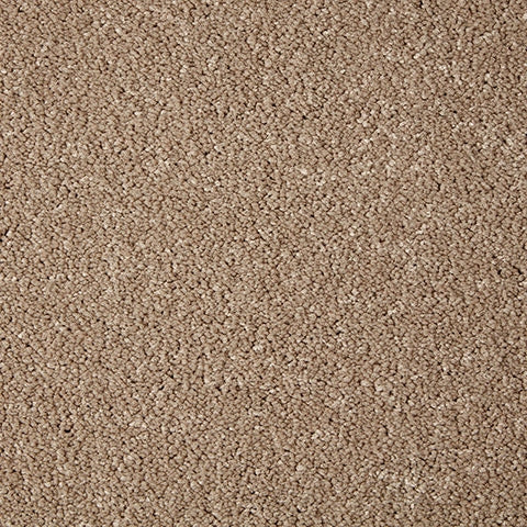 Primo Grande 11.4mm Polypropylene Carpet - Lynx