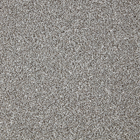 Primo Grande 11.4mm Polypropylene Carpet - Merlin