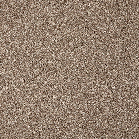 Primo Grande 11.4mm Polypropylene Carpet - Beaver