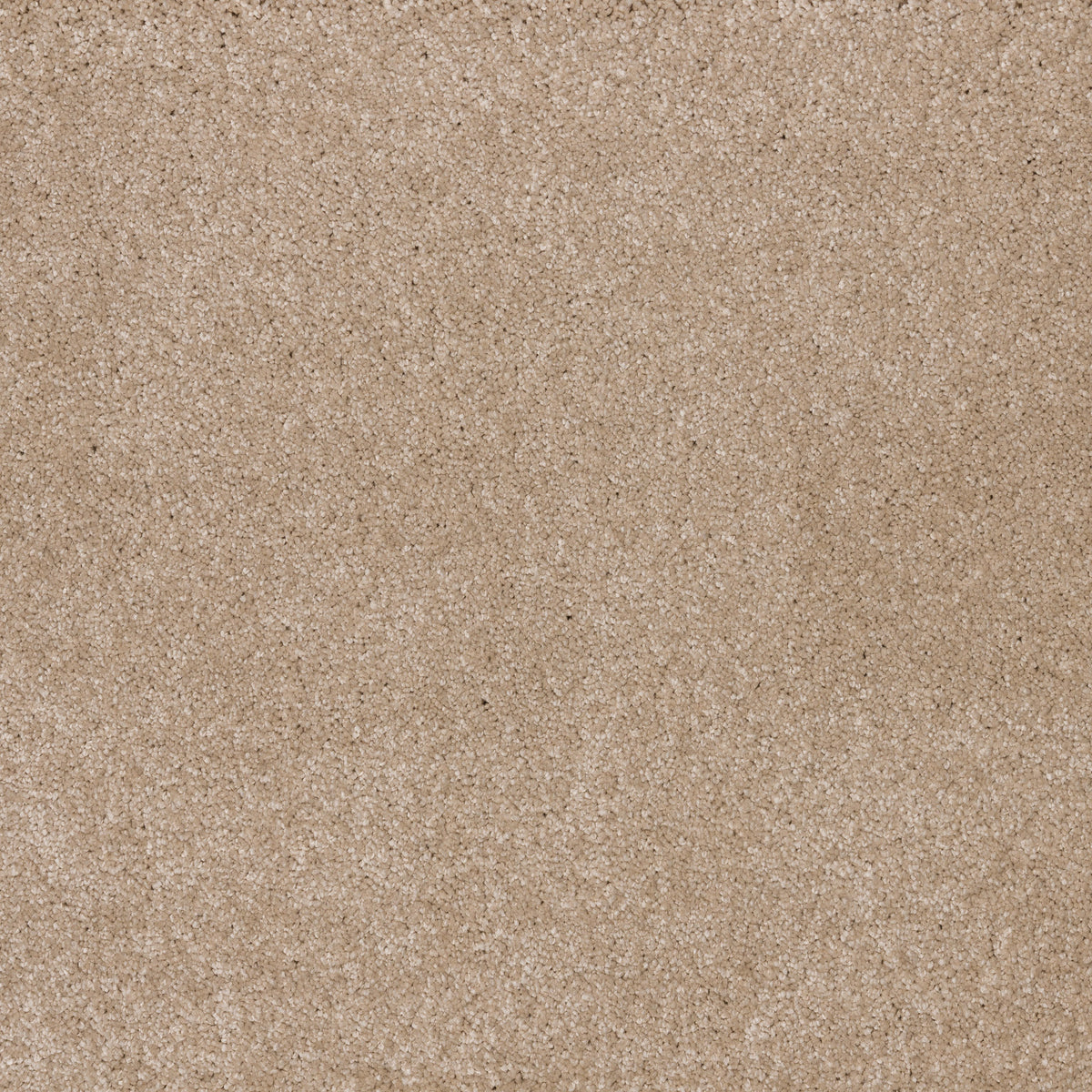 Dreamy Delight 19.5mm Deep Pile Saxony Carpet - Canvas 968