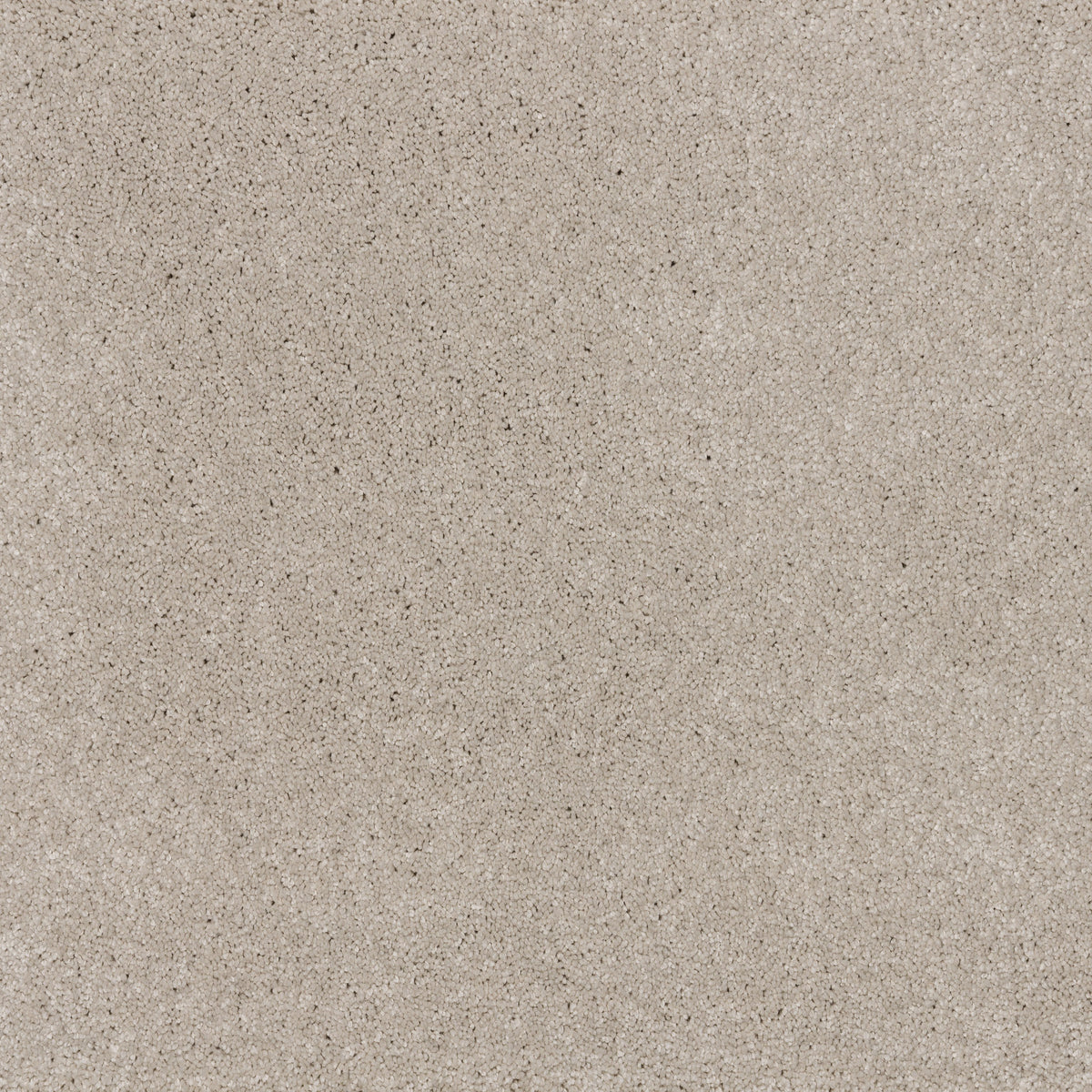 Dreamy Delight 19.5mm Deep Pile Saxony Carpet - Cloud 970
