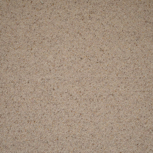 Natural Berber Twist Elite Wool Carpet - Coconut