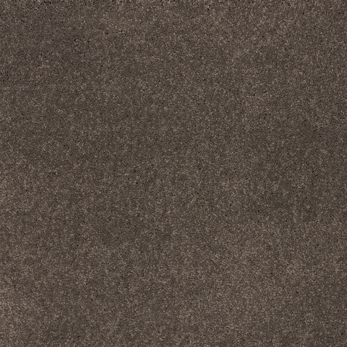 Dreamy Delight 19.5mm Deep Pile Saxony Carpet - Cool Charcoal 967