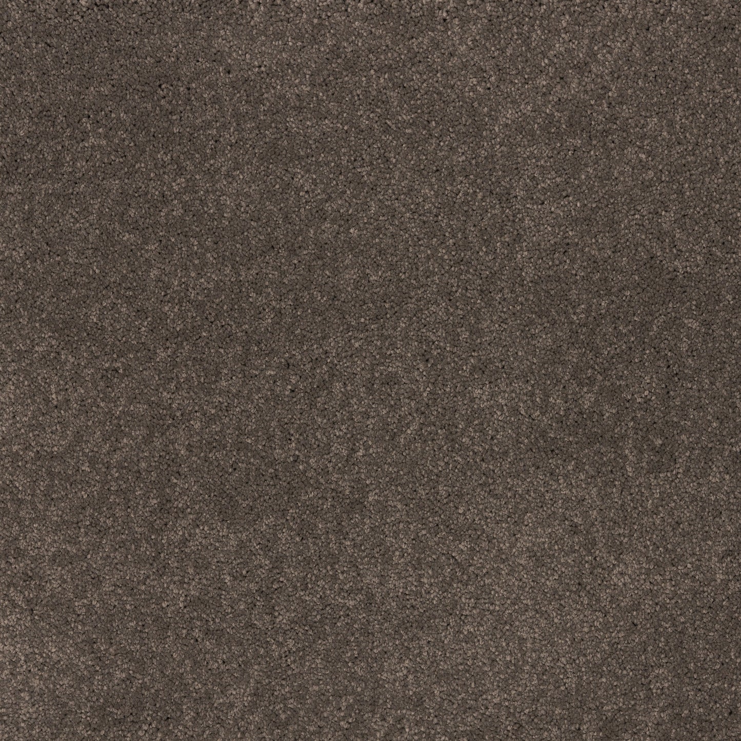 Dreamy Delight 19.5mm Deep Pile Saxony Carpet - Cool Charcoal 967