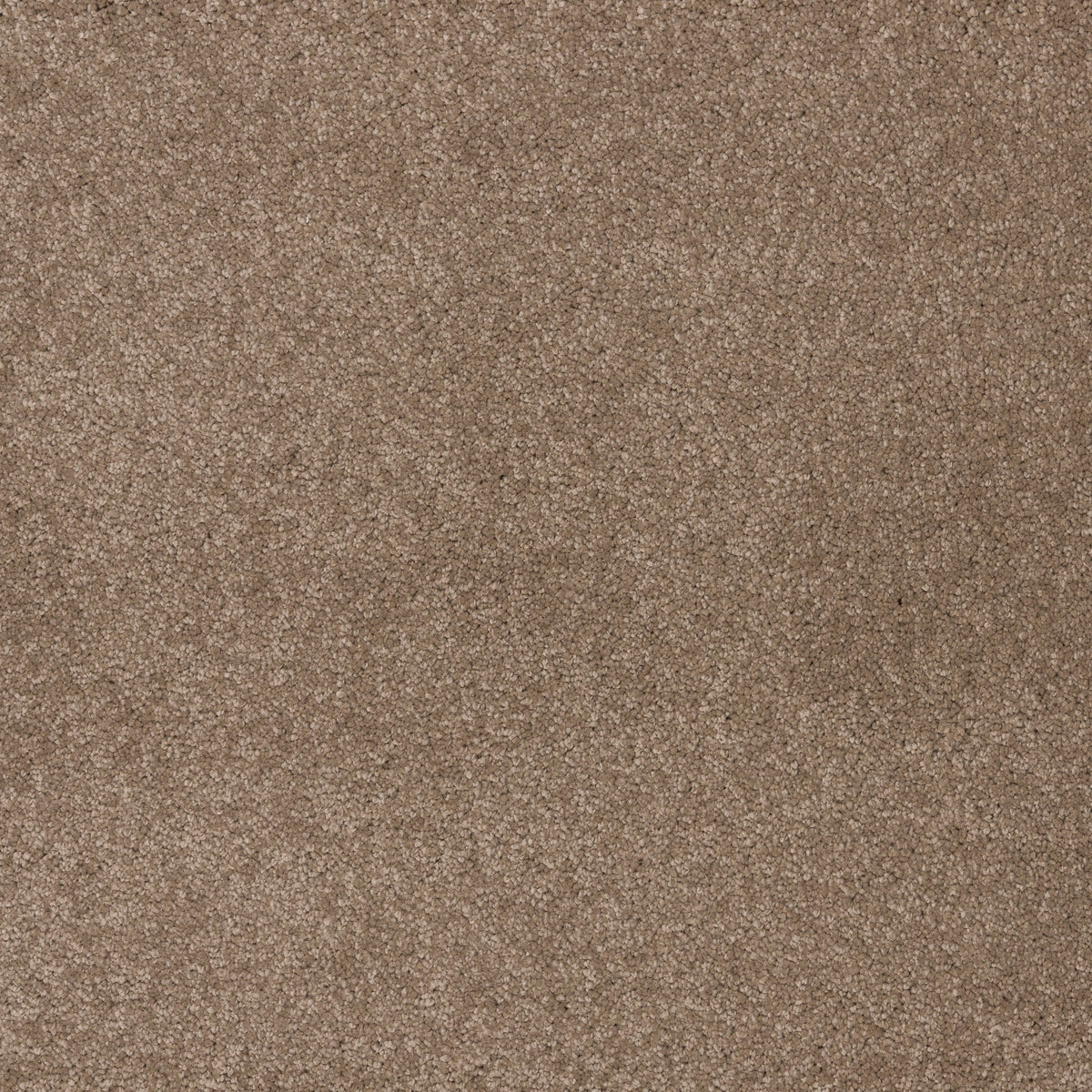 Dreamy Delight 19.5mm Deep Pile Saxony Carpet - Dolomite 990