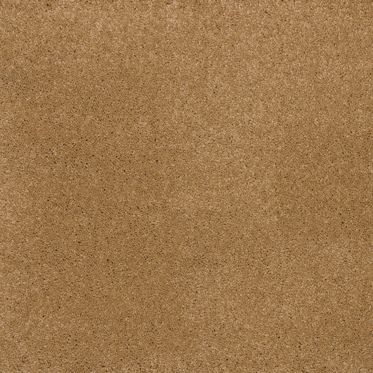 Dreamy Delight 19.5mm Deep Pile Saxony Carpet - Havana 969