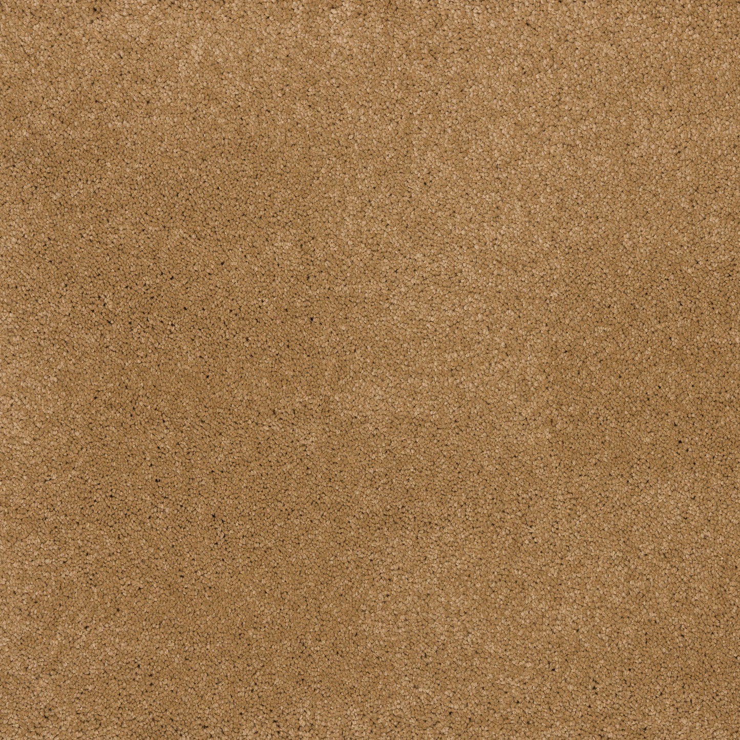 Dreamy Delight 19.5mm Deep Pile Saxony Carpet - Havana 969