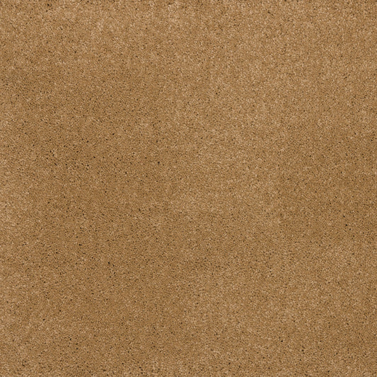 Dreamy Delight 19.5mm Deep Pile Saxony Carpet - Havana 969