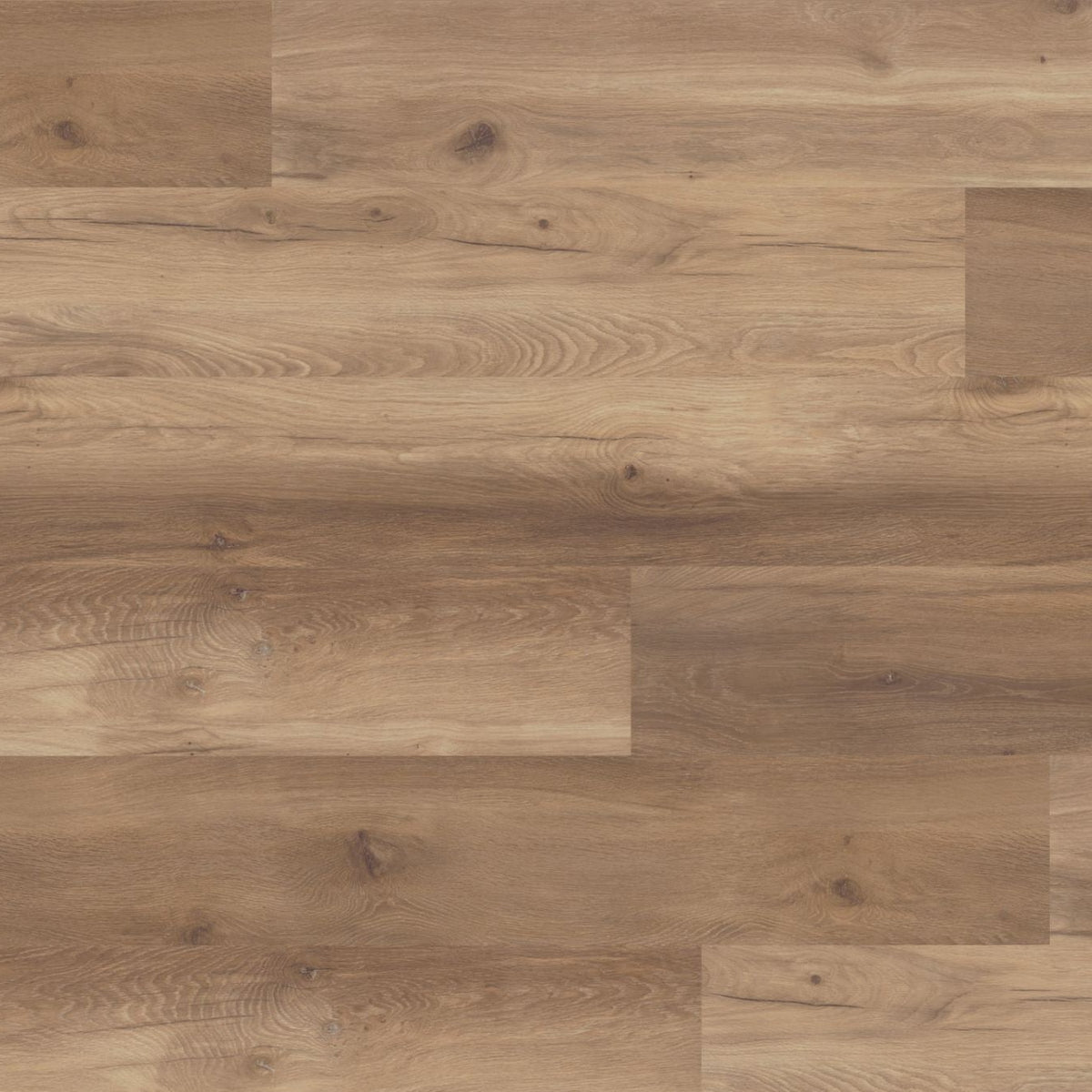 Long & Wide 12mm Canvas Laminate - Wild West Oak