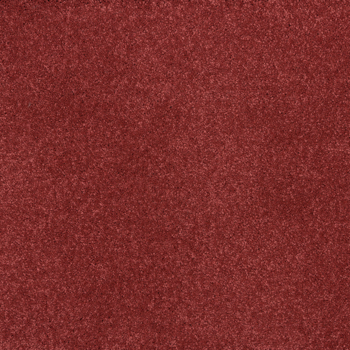 Dreamy Delight 19.5mm Deep Pile Saxony Carpet - Pagan 935