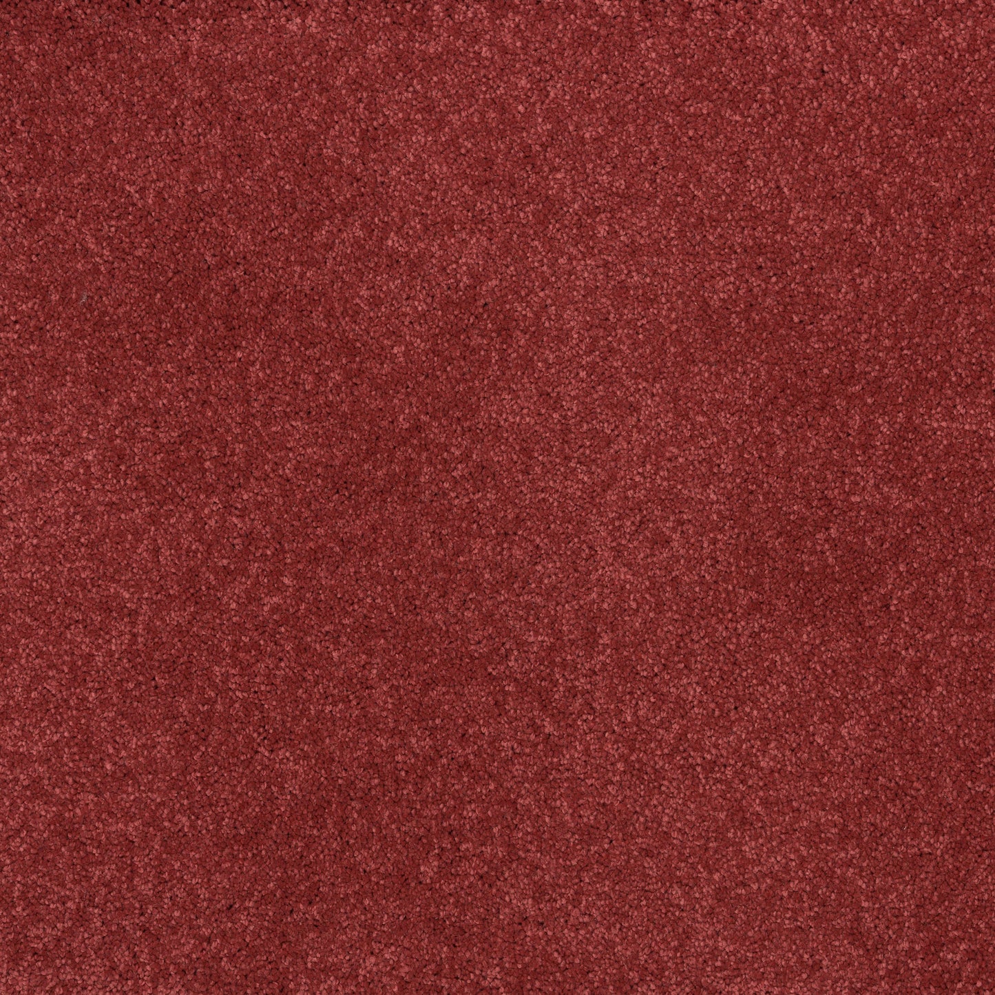 Dreamy Delight 19.5mm Deep Pile Saxony Carpet - Pagan 935