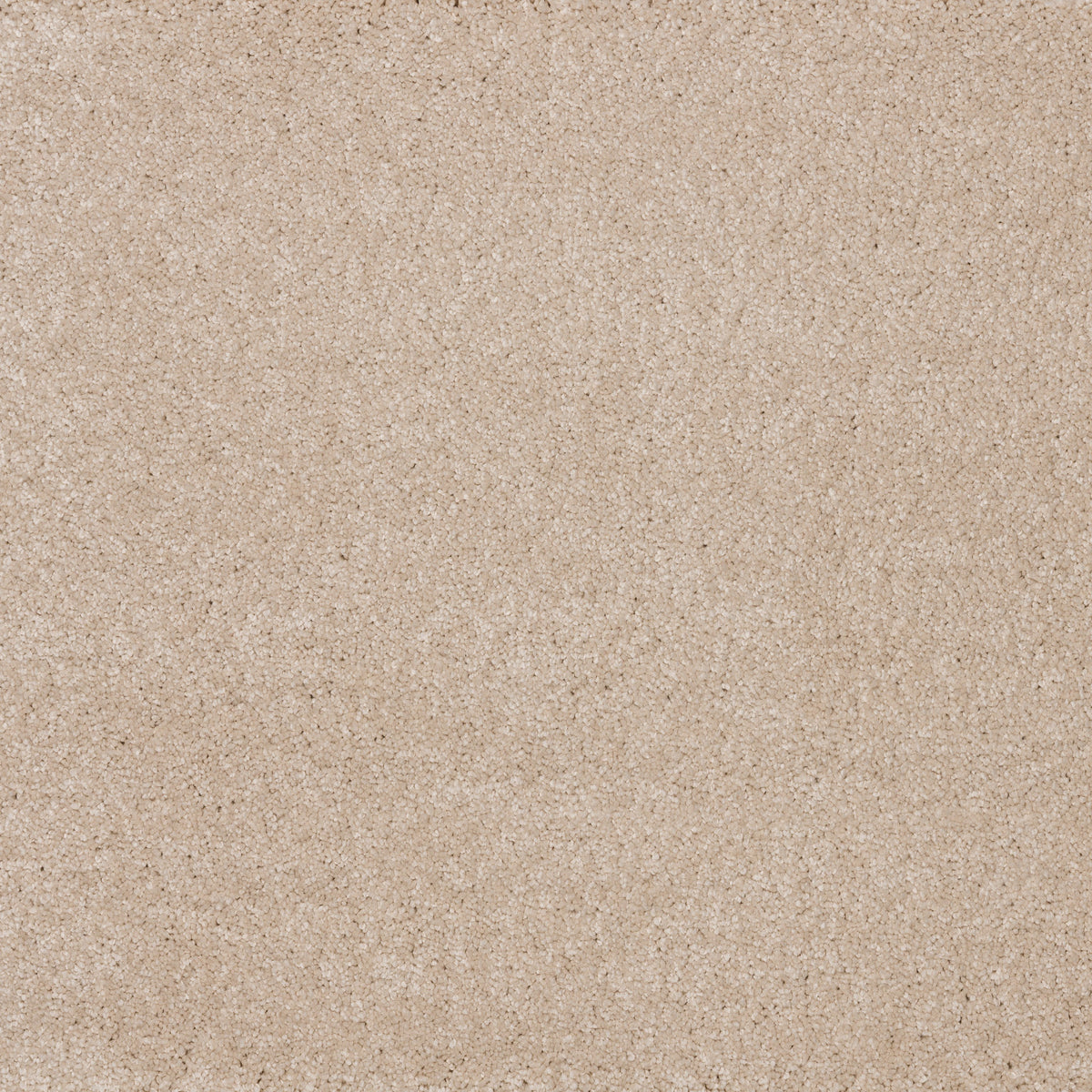 Dreamy Delight 19.5mm Deep Pile Saxony Carpet - Plaster 971