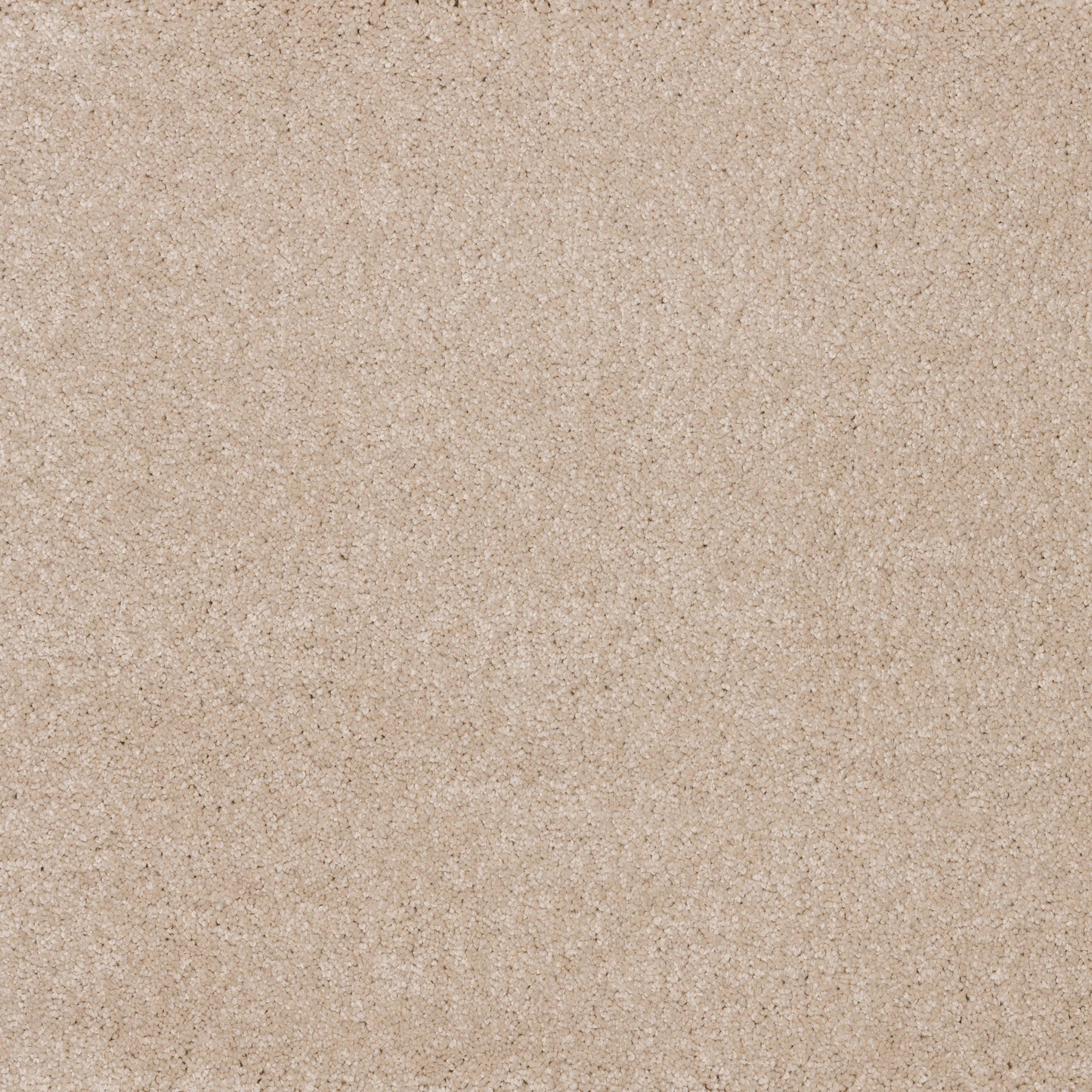 Dreamy Delight 19.5mm Deep Pile Saxony Carpet - Plaster 971